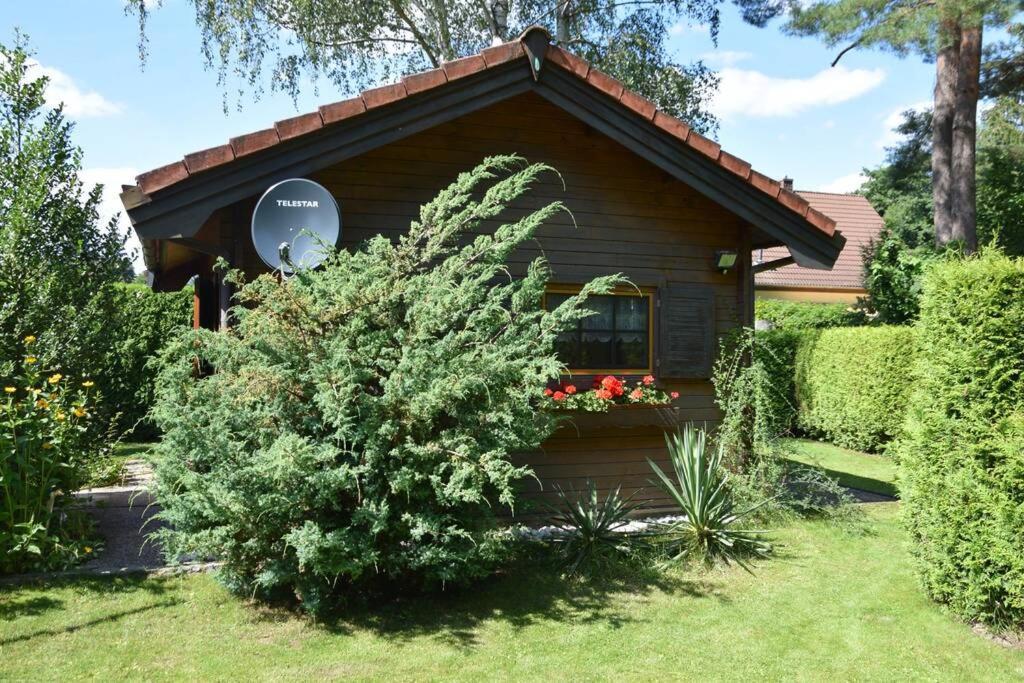 Gemuetliches Blockhaus, Waldblick, Naehe Ber/sxf Feriehus